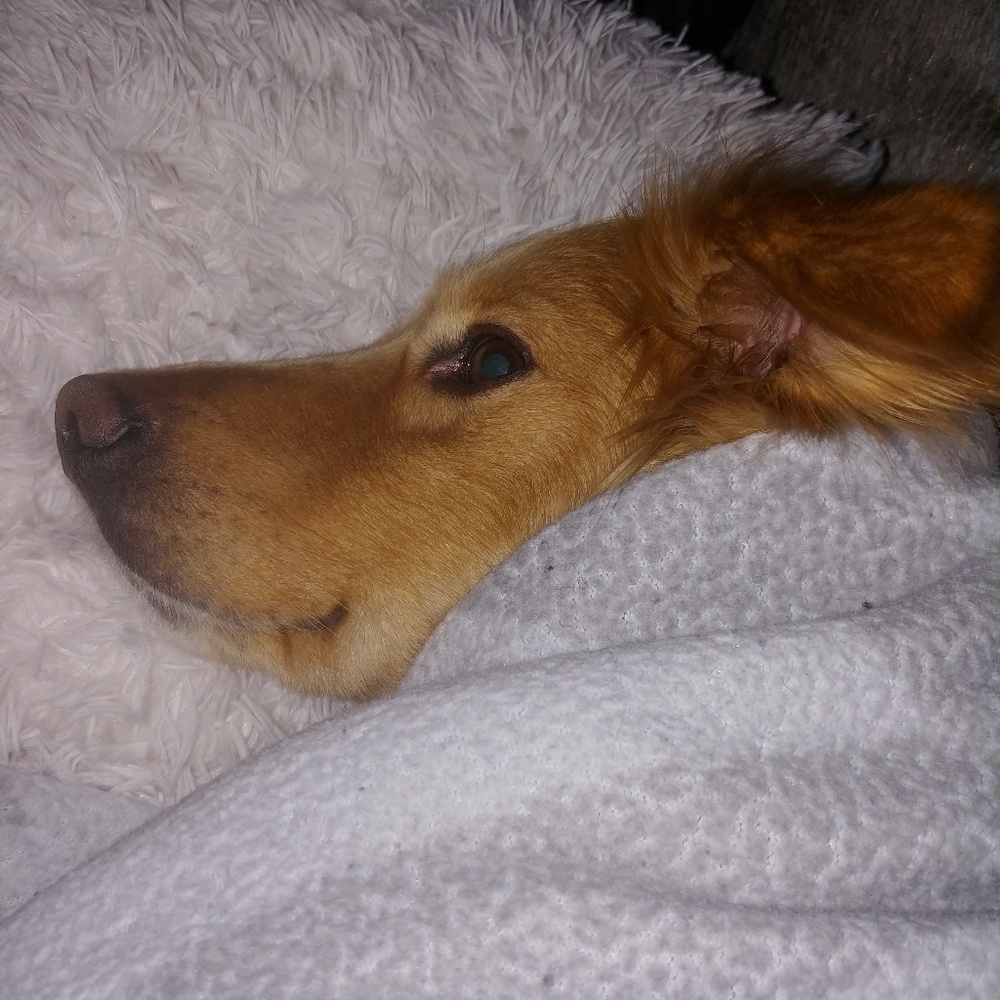 Meet your Posher, Travis